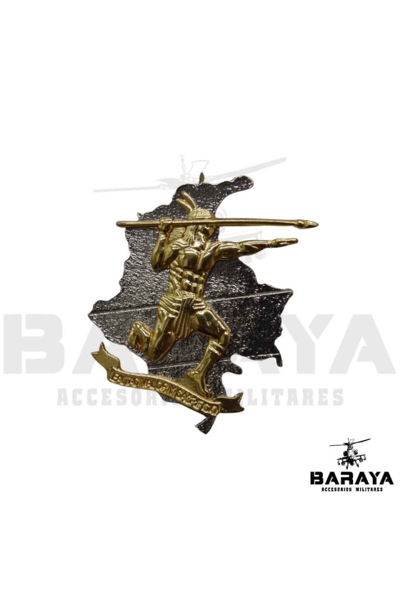 Escudo de boina, Escuela de...
