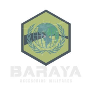 Direccion De Relaciones Internacionales Del Ejercito