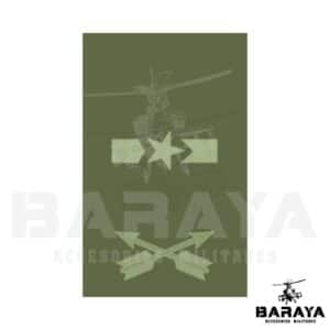 GRADO DE PECHO MAYOR DE FUERZAS ESPECIALES