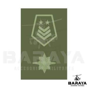 GRADO DE PECHO SARGENTO MAYOR INTELIGENCIA