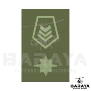GRADO DE PECHO SARGENTO SEGUNDO INTELIGENCIA