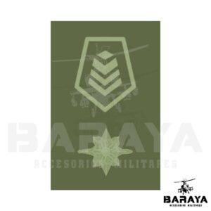 GRADO DE PECHO SARGENTO VICEPRIMERO INTELIGENCIA