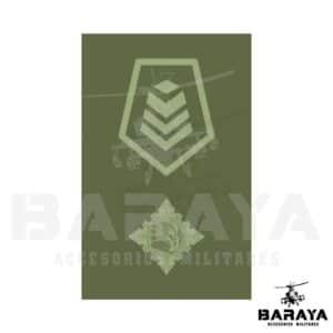 GRADO DE PECHO SARGENTO VICEPRIMERO LOGISTICA