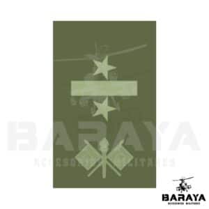 GRADO DE PECHO TENIENTE CORONEL DE COMUNICACIONES