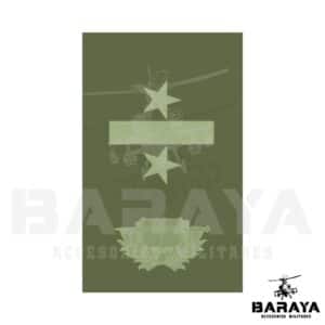 GRADO DE PECHO TENIENTE CORONEL OFICIAL DE LA RESERVA