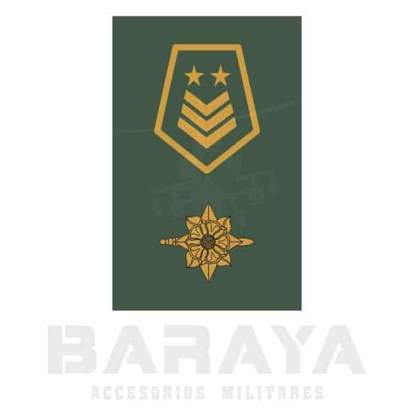 Presillas Sargento Mayor Inteligencia