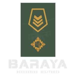 Presillas Sargento Segundo Logística