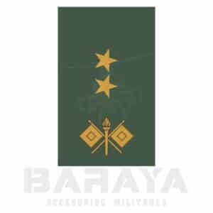 PRESILLAS TENIENTE COMUNICACIONES