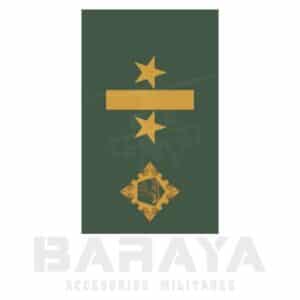 Presillas Teniente Coronel Logistica