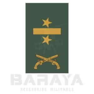 Presillas Teniente Coronel Policia Militar