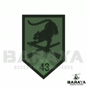 BATALLON DE INFANTERIA MOTORIZADO 43 GRAL. EFRAIN ROJAS