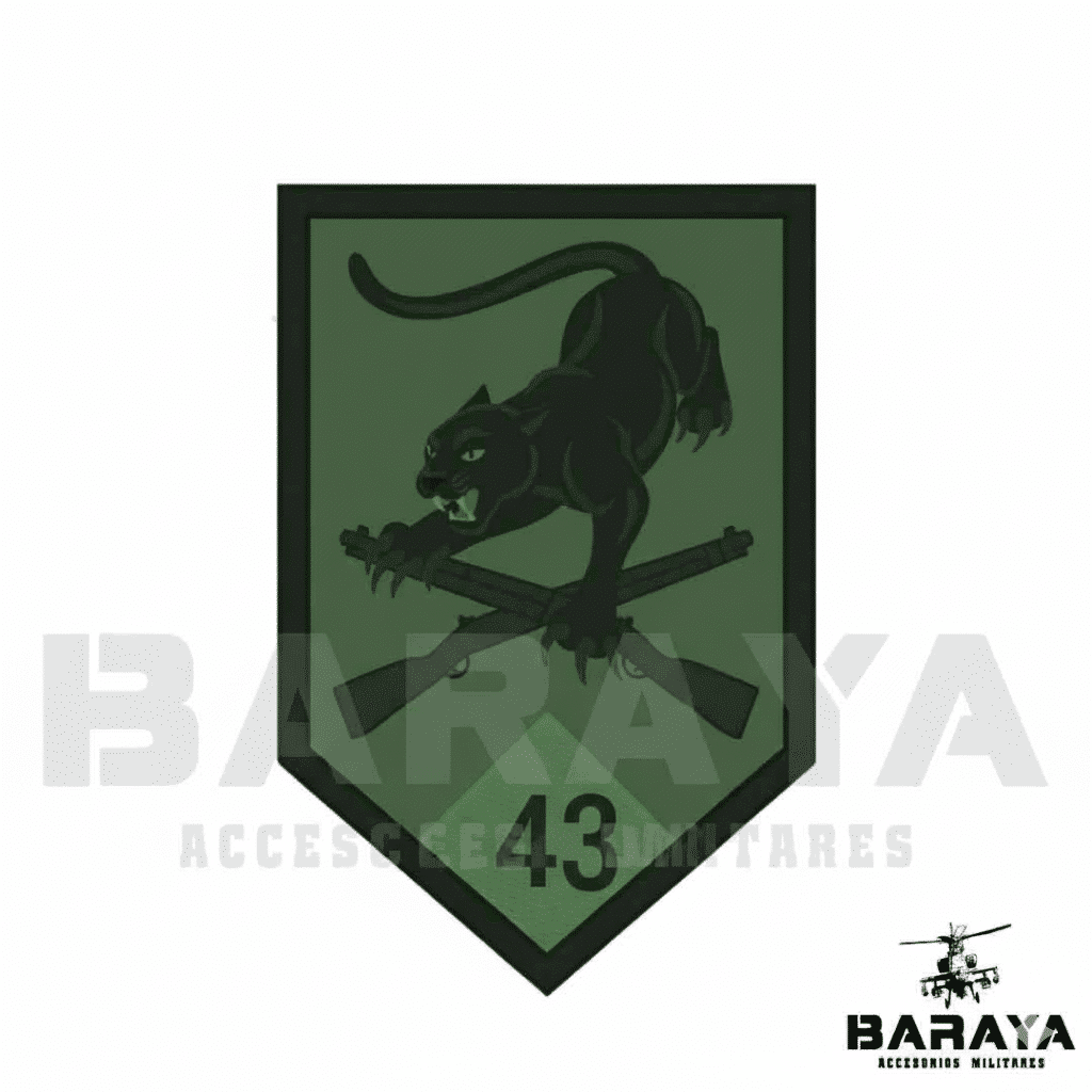 BATALLON DE INFANTERIA MOTORIZADO 43 GRAL. EFRAIN ROJAS