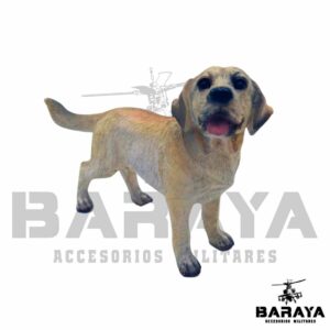 Labrador